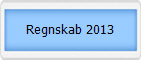 Regnskab 2013